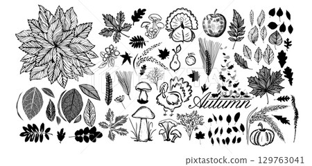 Set of autumn monochrome elements. hand drawn. Not AI, Vector illustration Set of autumn monochrome elements. hand drawn. Not AI, Vector illustration 129763041