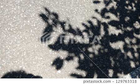 Asphalt and tree shadows 129763318