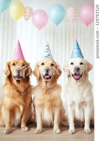 Three Golden Retrievers Wearing Party Hats Celebrating Birthday Occasion. 129763520