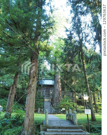 Nagano Prefecture Shimofurimiya Hosono Suwa Shrine August 129763637