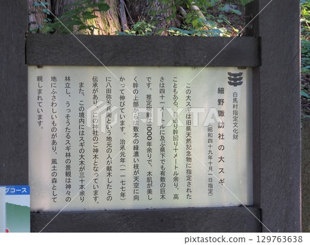 Nagano Prefecture, Shimofurimiya Hosono Suwa Shrine, Osugi information board, August 129763638
