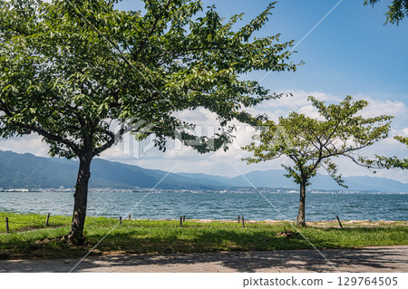 滋賀縣大津市琵琶湖畔渚公園的夏日風景 滋賀縣大津市琵琶湖畔渚公園的夏日風景 129764505