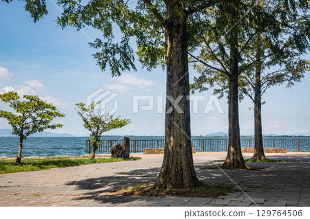 Summer scenery at Nagisa Park on the shores of Lake Biwa, Otsu City, Shiga Prefecture Summer scenery at Nagisa Park on the shores of Lake Biwa, Otsu City, Shiga Prefecture 129764506