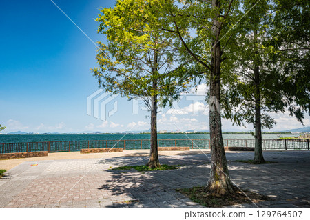 Summer scenery at Nagisa Park on the shores of Lake Biwa, Otsu City, Shiga Prefecture Summer scenery at Nagisa Park on the shores of Lake Biwa, Otsu City, Shiga Prefecture 129764507