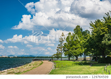Summer scenery at Nagisa Park on the shores of Lake Biwa, Otsu City, Shiga Prefecture 129764509