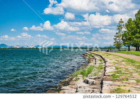 滋賀縣大津市琵琶湖畔渚公園的夏日風景 129764512