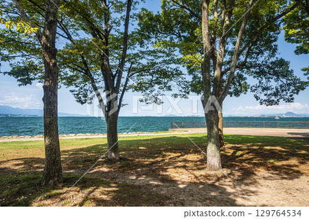 Summer scenery at Nagisa Park on the shores of Lake Biwa, Otsu City, Shiga Prefecture 129764534