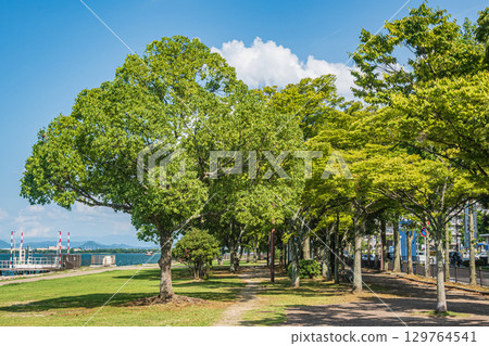 Summer scenery at Nagisa Park on the shores of Lake Biwa, Otsu City, Shiga Prefecture Summer scenery at Nagisa Park on the shores of Lake Biwa, Otsu City, Shiga Prefecture 129764541