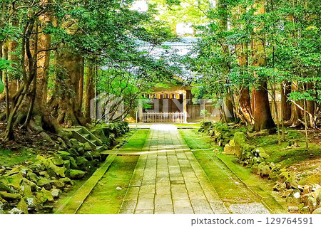 寺廟的參道被翠綠的植被環繞 寺廟的參道被翠綠的植被環繞 129764591