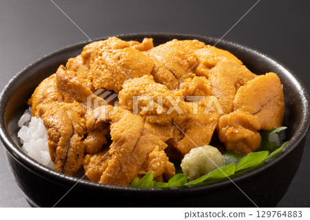 Sea urchin bowl 129764883