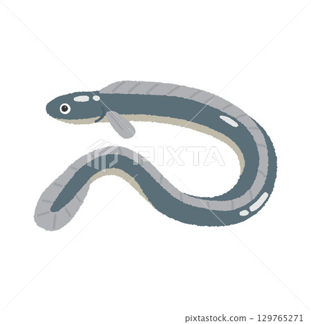 鰻魚 129765271
