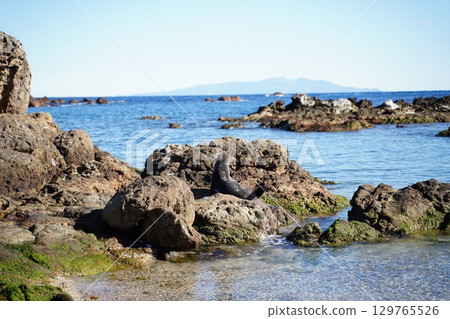 妻子木崎的印章 129765526