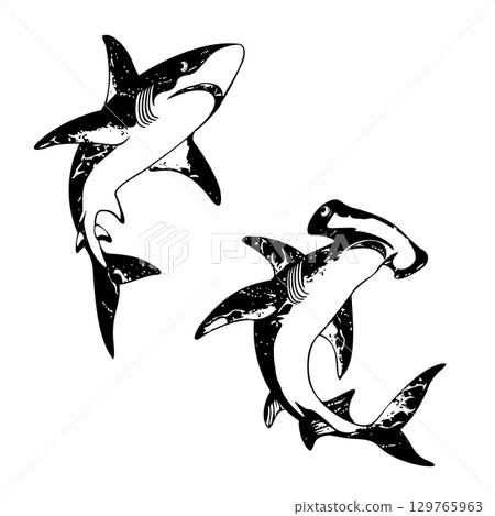 Illustration of a powerfully swimming shark, 129765963