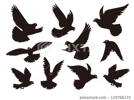 Dove icon set 129766135