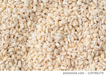 Close-up of germ glutinous barley Close-up of germ glutinous barley 129766279