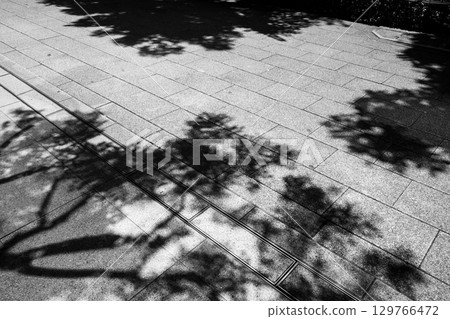 Midsummer sidewalk shade b-2 monochrome 129766472
