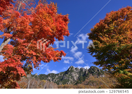 秋日晴朗，紅葉與水垣山交相輝映 129766545