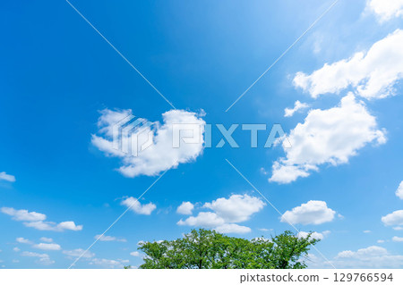 藍天,白雲和樹林 藍天,白雲和樹林 129766594