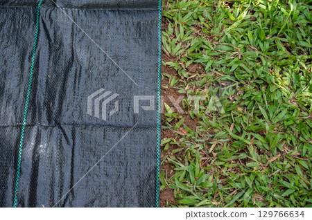 High angle view of black plastic sheeting covered soil for preventing weed growth. It works by blocking sunlight, which is essential for plant growth, and essentially suffocating weeds. 129766634