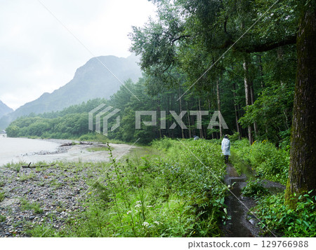 遊客沿著上高地的森林小徑行走,這裡是夏季的熱門旅遊景點 遊客沿著上高地的森林小徑行走,這裡是夏季的熱門旅遊景點 129766988