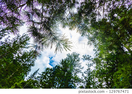 Koyamaki離開 129767471