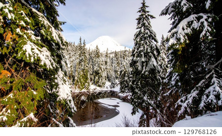 Snow-covered pine trees in a winter forest landscape with a frosty blue sky Snow-covered pine trees in a winter forest landscape with a frosty blue sky 129768126