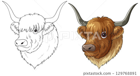 Highland Cow Head Vector Illustration in Color and Outline 129768891