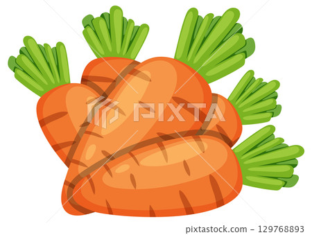 Bunch of Fresh Carrots with Green Tops Illustration Bunch of Fresh Carrots with Green Tops Illustration 129768893