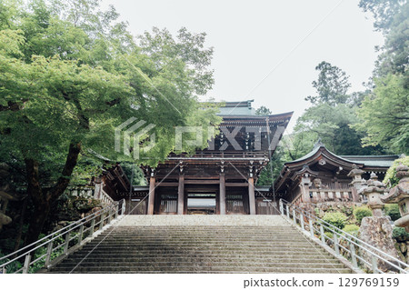 Inaba Shrine Tower Gate 129769159