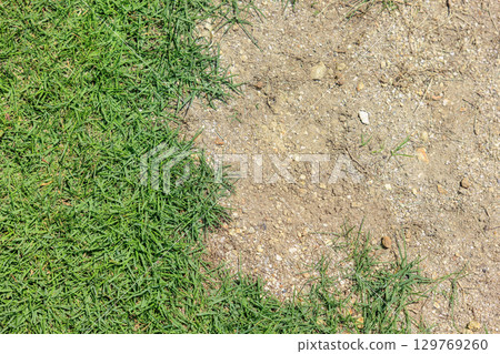 草坪紋理 129769260