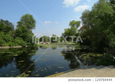 Calm pond with green reflections 129769444