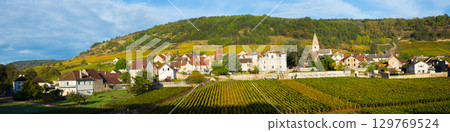 Image of Saint-Aubin, Burgundy - french village with famous vineyards 129769524
