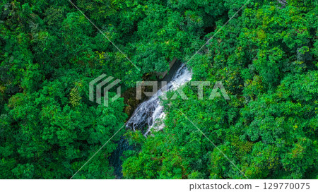Aug 16 2025 Tai Tam Local Yield Catchment Area View 129770075