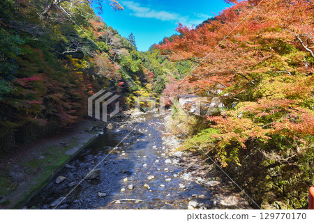 京都府三尾市高尾町美麗的紅葉與清瀧川（京都府京都市右京區） 129770170