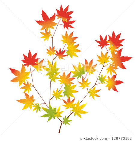 Illustration of maple leaves on a branch Illustration of maple leaves on a branch 129770192