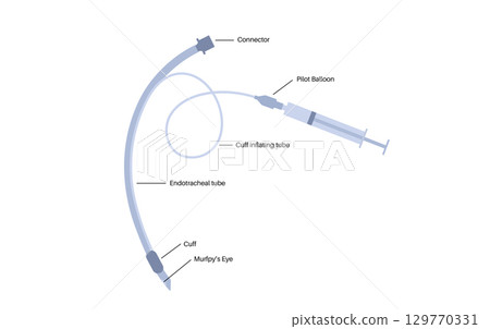 endotracheal intubation tube 129770331