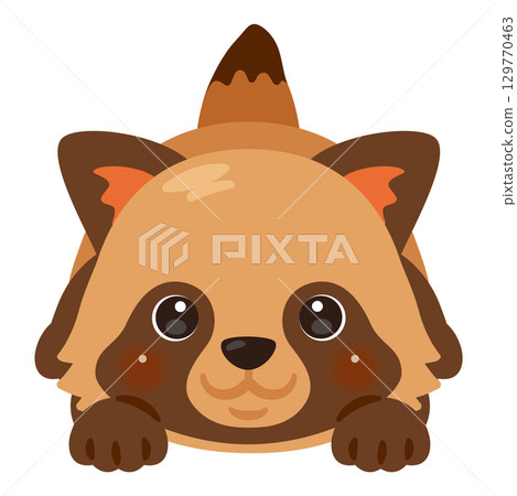 Illustration of a raccoon lying face down Illustration of a raccoon lying face down 129770463