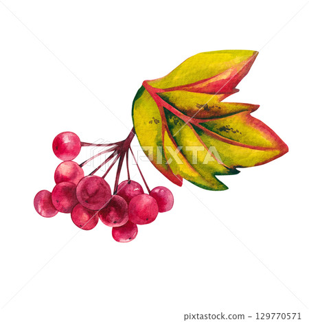 watercolor autumn illustrations with pumpkins and leaves 129770571