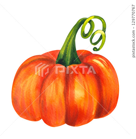 watercolor autumn illustrations with pumpkins and leaves 129770767