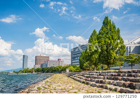 大津市琵琶湖畔的夏日風景 129771250