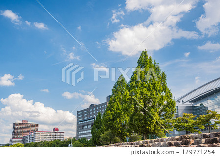 大津市琵琶湖畔的夏日風景 129771254