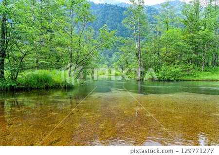Scenery of Tashiro Pond in Kamikochi surrounded by fresh greenery Scenery of Tashiro Pond in Kamikochi surrounded by fresh greenery 129771277