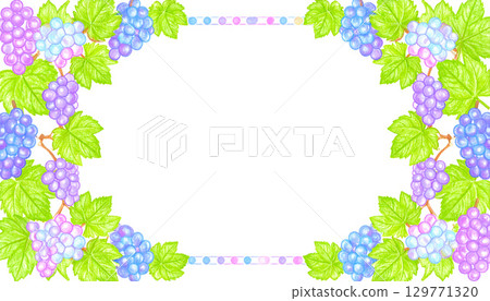 Colorful circular grape frame illustration 129771320