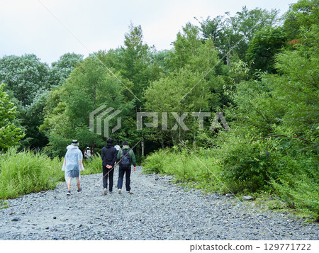 遊客沿著上高地的森林小徑行走,這裡是夏季的熱門旅遊景點 遊客沿著上高地的森林小徑行走,這裡是夏季的熱門旅遊景點 129771722