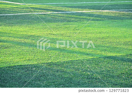 artificial green grass soccer field with sunlight, training football yard 129771823