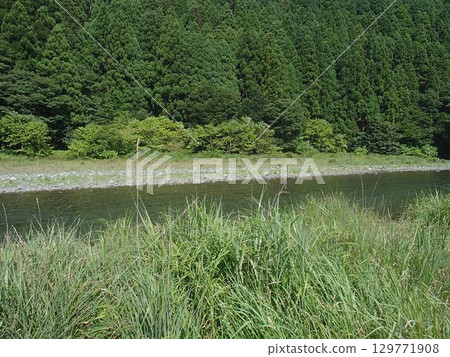 里山 里山 129771908