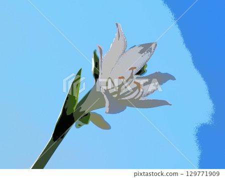 陽光下閃耀的玉簪(afr20250817134603) 陽光下閃耀的玉簪(afr20250817134603) 129771909