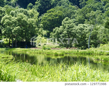 湯澤高原的湖泊 129771986