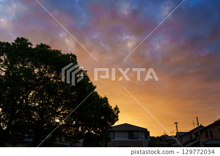奈良鬧區的朝霞：等待日出的街道樹木和住宅區的剪影① 129772034