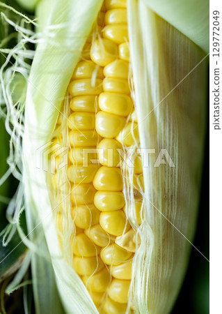 玉米 玉米 129772049